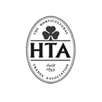 HTA
